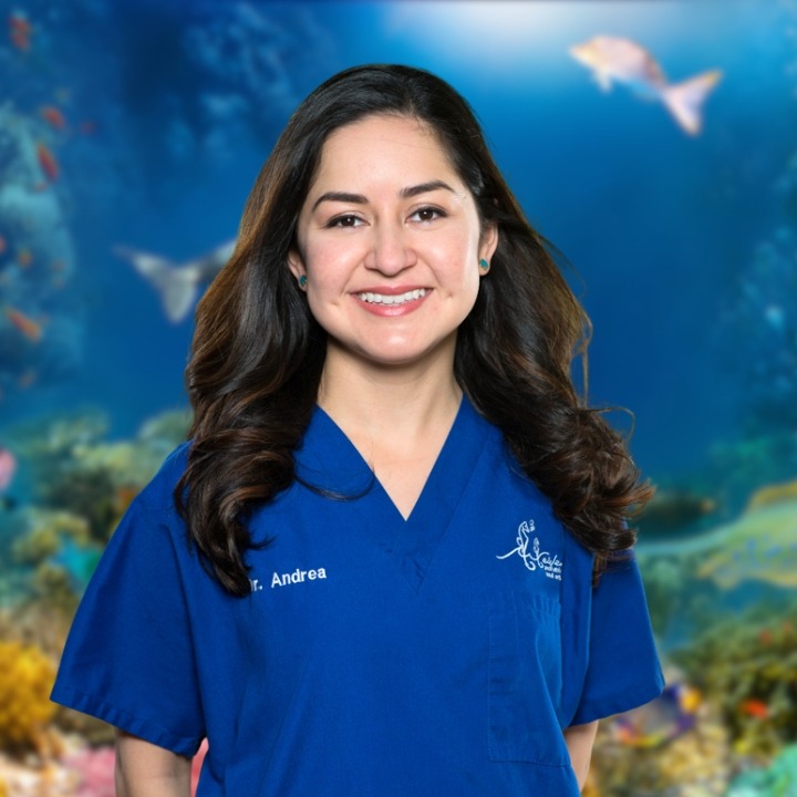 dr. sosa headshot